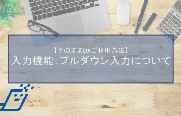 入力機能：プルダウン入力について