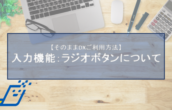 入力機能：ラジオボタンについて